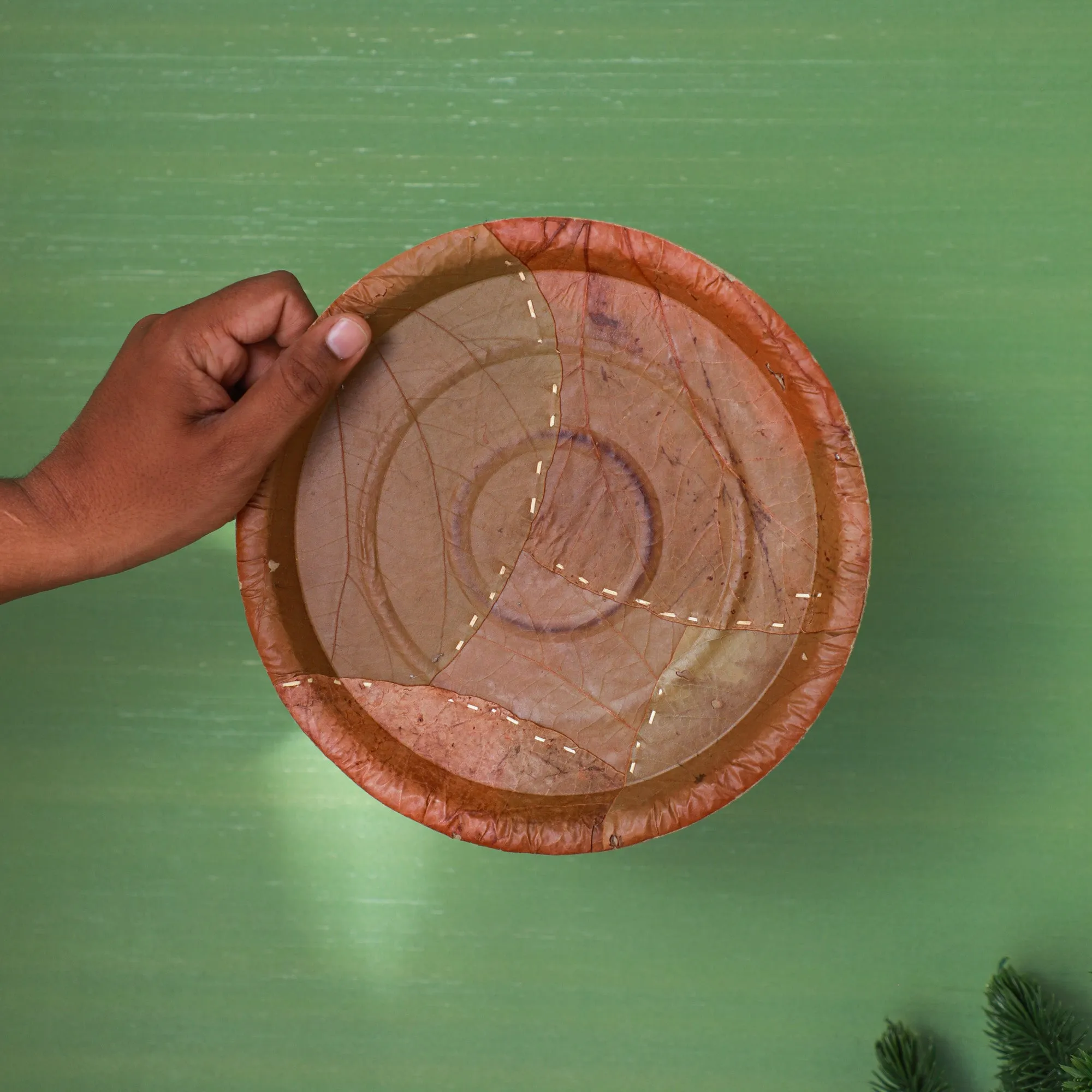 8" Disposable Plates