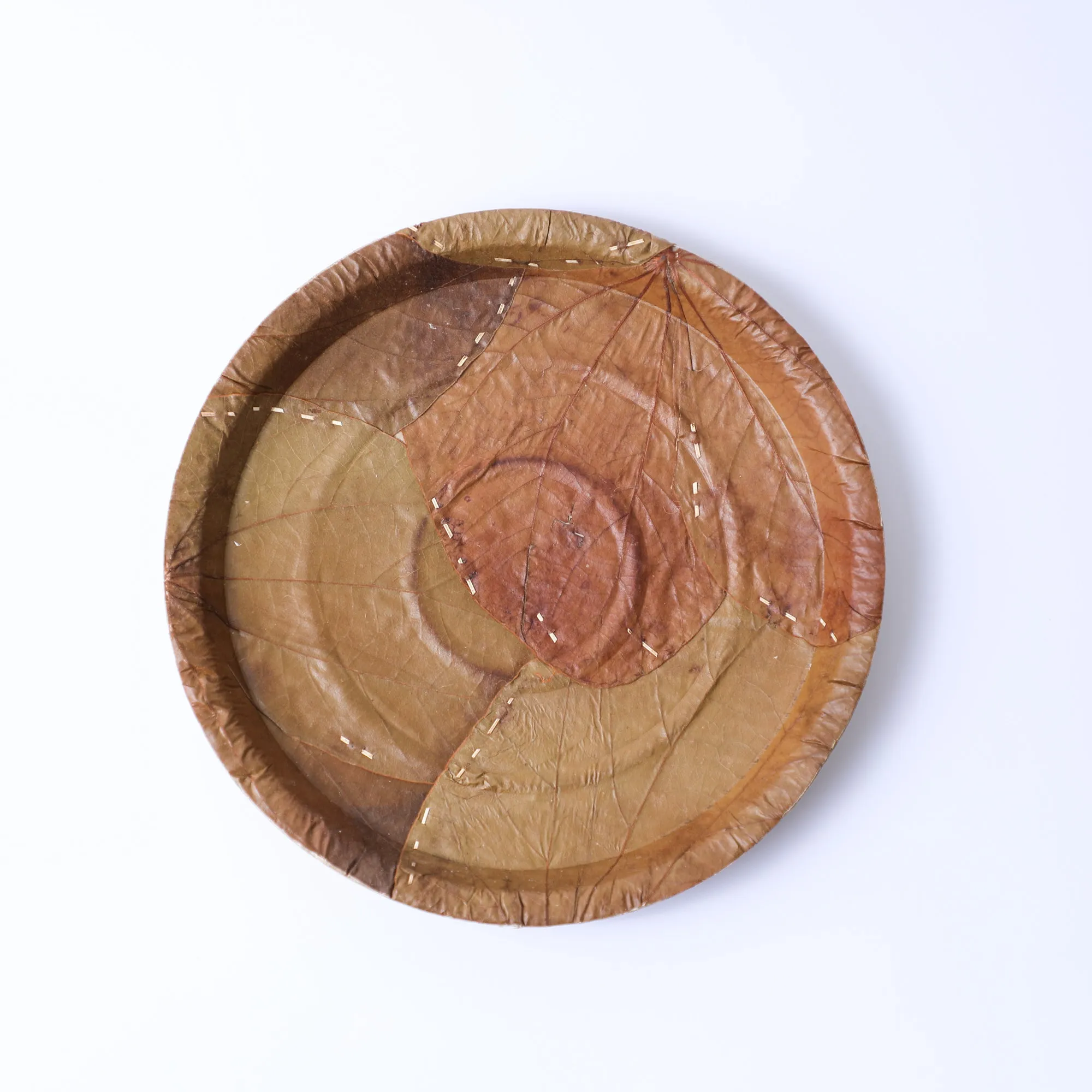 8" Disposable Plates