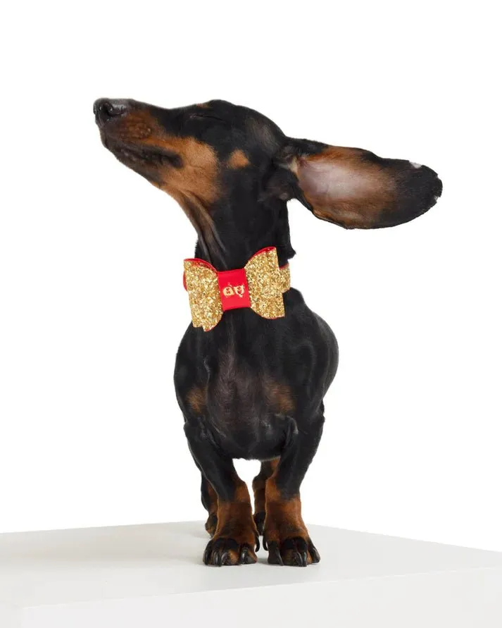 Gold Glam Dog Collar