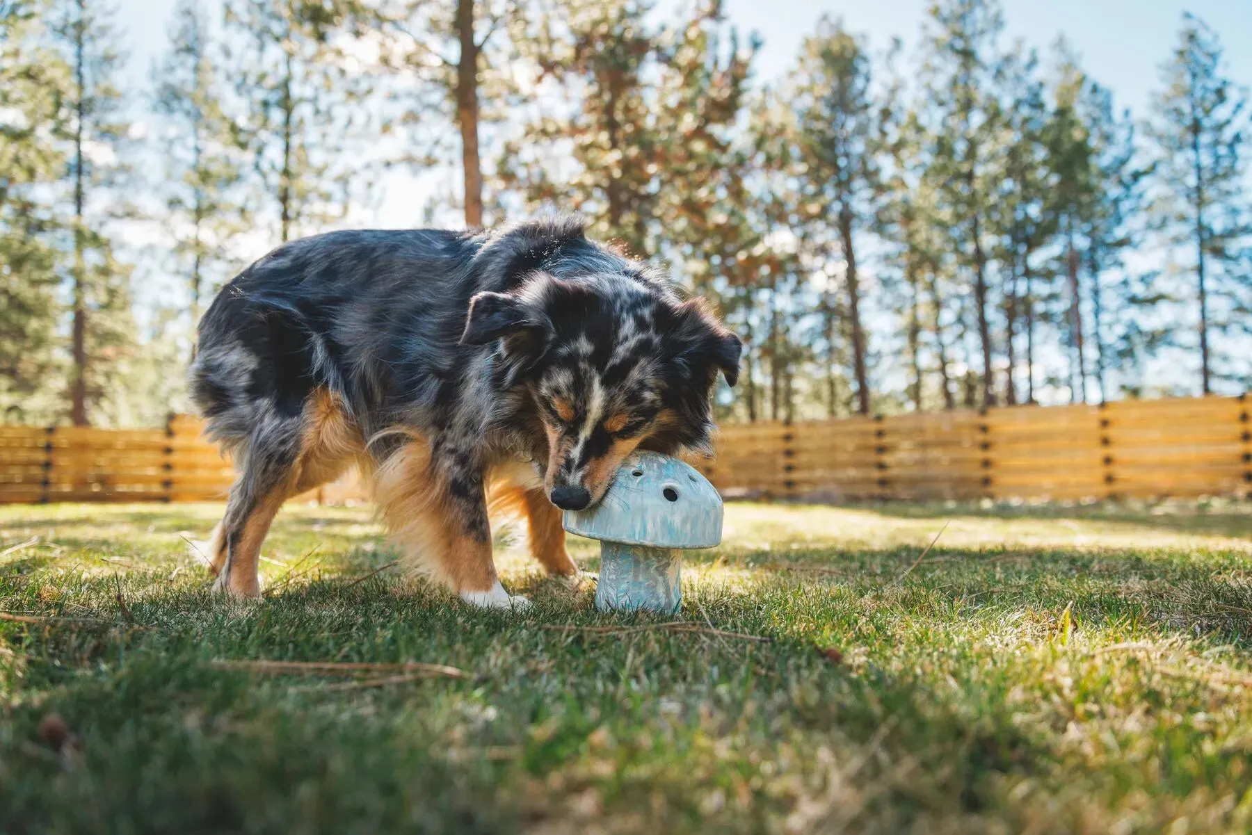 Ruffwear Porcini™ Chew Resistant Slow Feeding Dog Toy (Blue Prism)