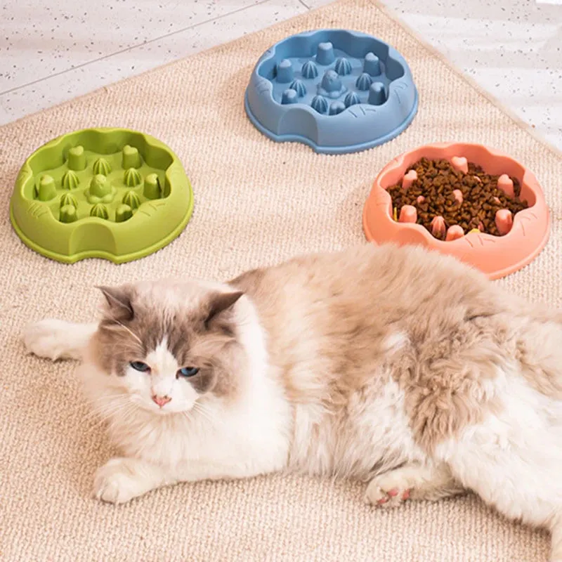 Slow Feeder Cat Bowl - Anti-Gulping, Non-Slip Design