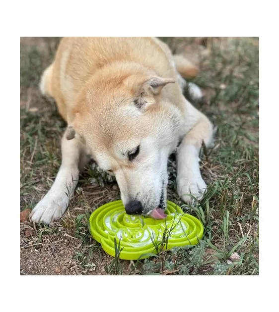 SodaPup Enrichment Feeding Tray For Dogs (Green Water Frog)