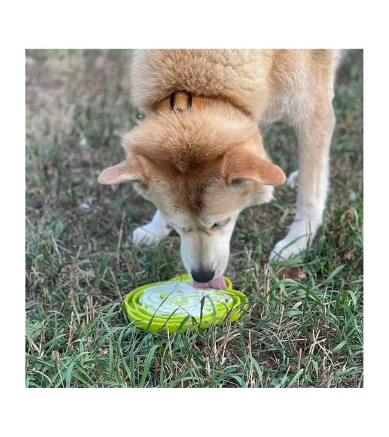 SodaPup Enrichment Feeding Tray For Dogs (Green Water Frog)