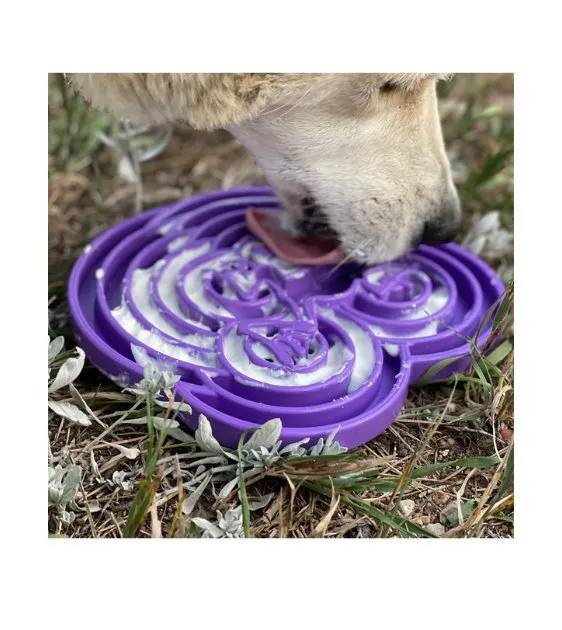 SodaPup Enrichment Feeding Tray For Dogs (Green Water Frog)