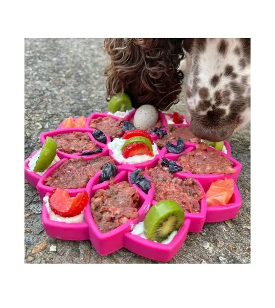 SodaPup Enrichment Feeding Tray For Dogs (Purple Mandala)