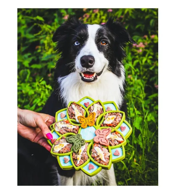 SodaPup Enrichment Feeding Tray For Dogs (Yellow Mandala)