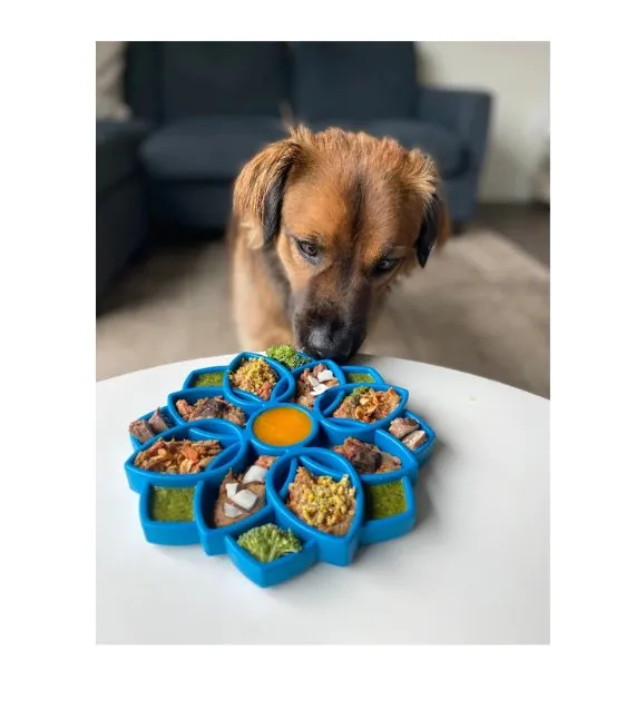 SodaPup Enrichment Feeding Tray For Dogs (Yellow Mandala)
