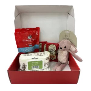 Stella & Chewy's Dog Starter Box - Lamb